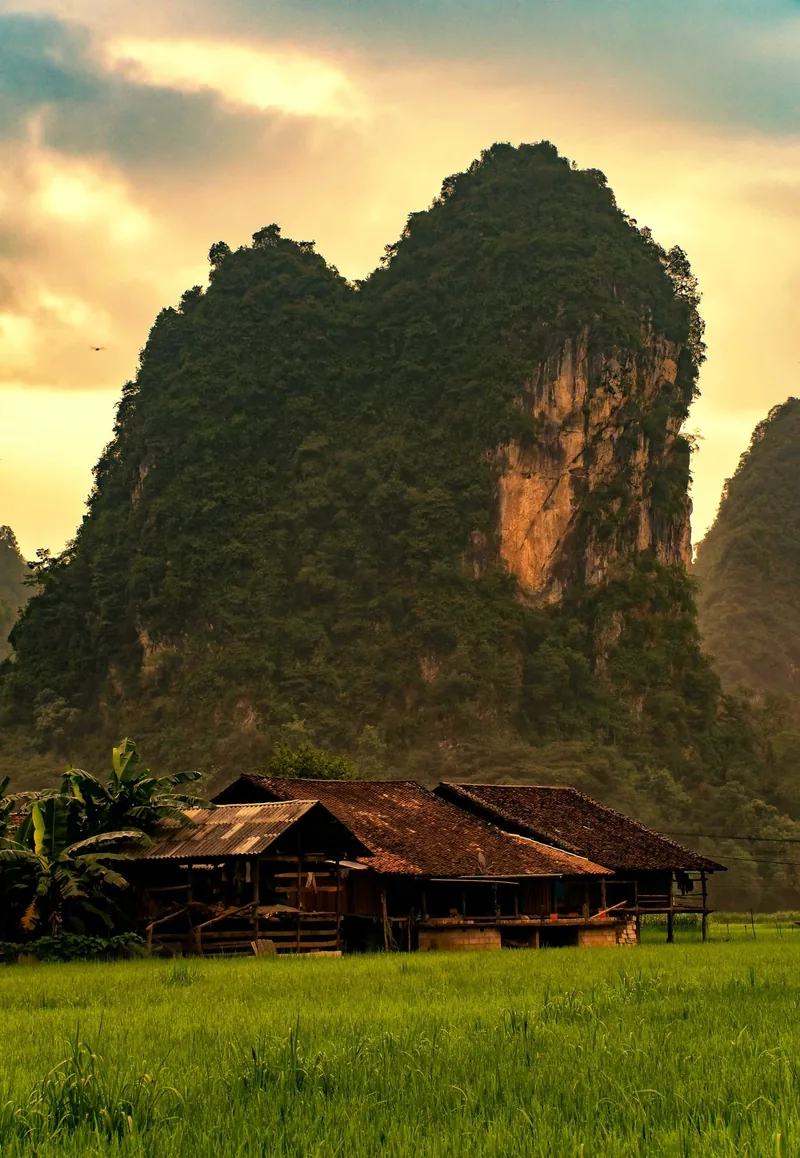 Ngôi nhà sàn bên ruộng lúa dưới chân núi đá vôi hùng vĩ gần bản Phia Thắp, Cao Bằng.